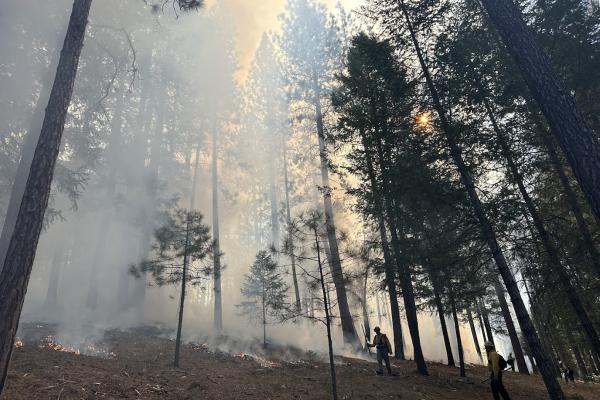 GROWING A COMMUNITY FIRE WORKFORCE